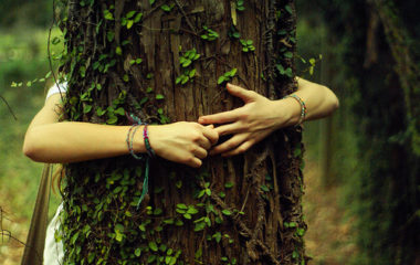 tree-hugger